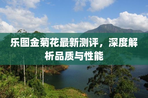 乐图金菊花最新测评，深度解析品质与性能