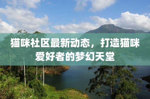 猫咪社区最新动态，打造猫咪爱好者的梦幻天堂