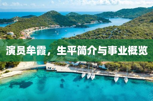 演员牟霞，生平简介与事业概览