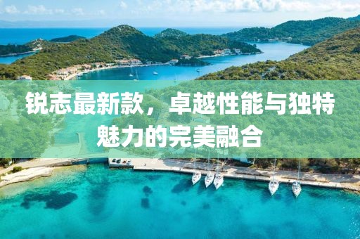 锐志最新款，卓越性能与独特魅力的完美融合