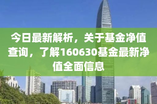 今日最新解析，关于基金净值查询，了解160630基金最新净值全面信息