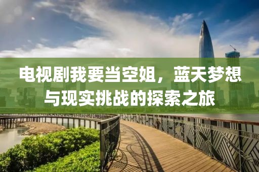 电视剧我要当空姐，蓝天梦想与现实挑战的探索之旅