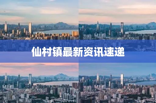仙村镇最新资讯速递
