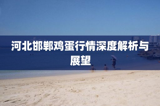 河北邯郸鸡蛋行情深度解析与展望