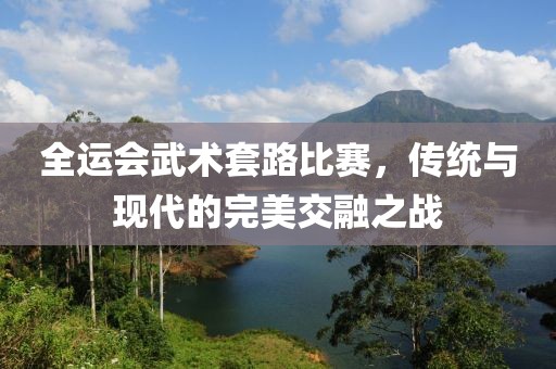 全运会武术套路比赛，传统与现代的完美交融之战