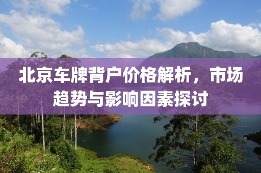 北京车牌背户价格解析，市场趋势与影响因素探讨