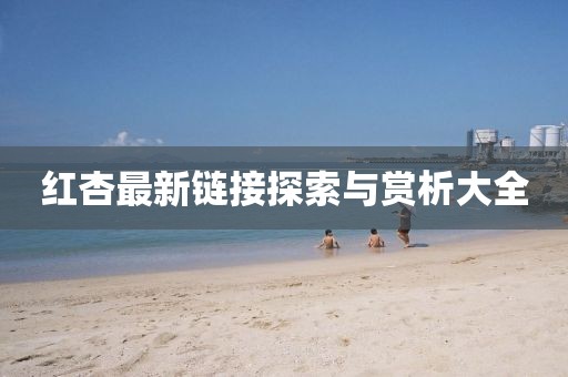 红杏最新链接探索与赏析大全