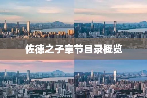 佐德之子章节目录概览