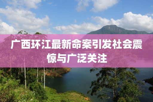 广西环江最新命案引发社会震惊与广泛关注