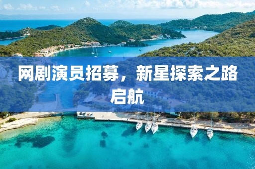 网剧演员招募，新星探索之路启航