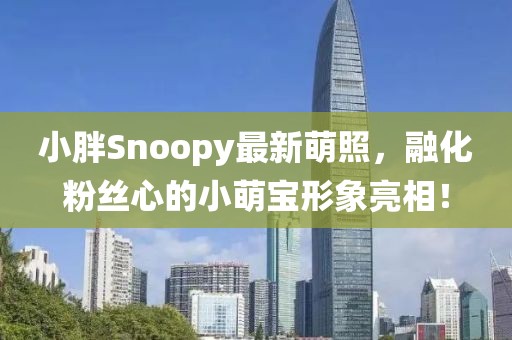 小胖Snoopy最新萌照，融化粉丝心的小萌宝形象亮相！