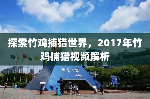 探索竹鸡捕猎世界，2017年竹鸡捕猎视频解析