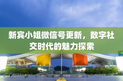 新宾小姐微信号更新，数字社交时代的魅力探索