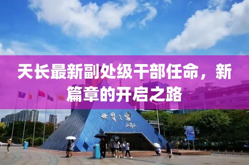 天长最新副处级干部任命，新篇章的开启之路