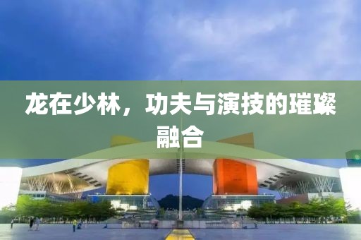 龙在少林，功夫与演技的璀璨融合