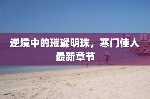 逆境中的璀璨明珠，寒门佳人最新章节