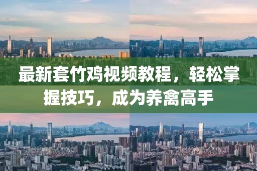 最新套竹鸡视频教程，轻松掌握技巧，成为养禽高手