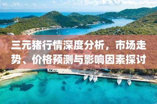 三元猪行情深度分析，市场走势、价格预测与影响因素探讨