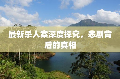 最新杀人案深度探究，悲剧背后的真相