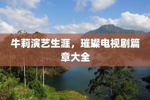 牛莉演艺生涯，璀璨电视剧篇章大全