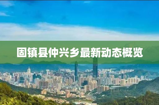 固镇县仲兴乡最新动态概览