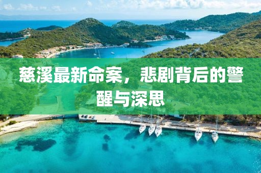 慈溪最新命案，悲剧背后的警醒与深思