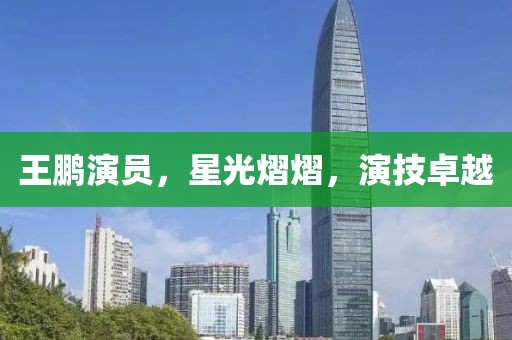 王鹏演员，星光熠熠，演技卓越