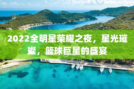 2022全明星荣耀之夜，星光璀璨，篮球巨星的盛宴