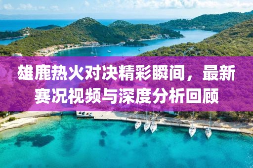 雄鹿热火对决精彩瞬间，最新赛况视频与深度分析回顾