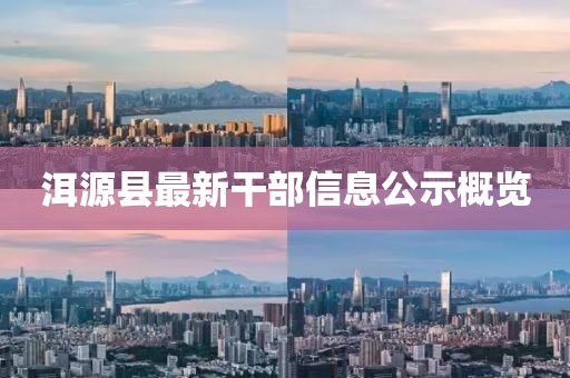 洱源县最新干部信息公示概览