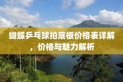 蝴蝶乒乓球拍底板价格表详解，价格与魅力解析