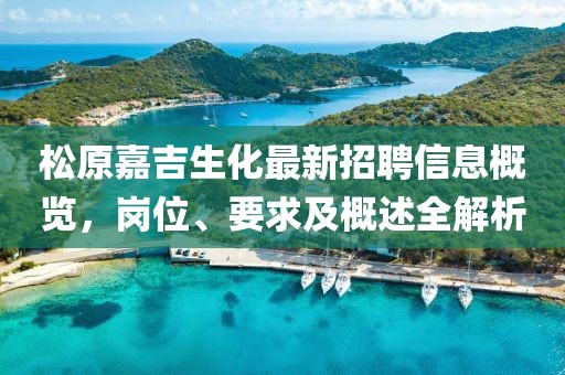 松原嘉吉生化最新招聘信息概览，岗位、要求及概述全解析