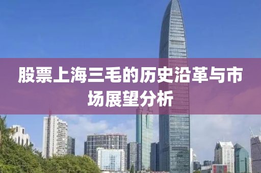 股票上海三毛的历史沿革与市场展望分析
