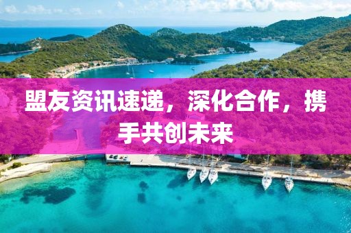盟友资讯速递，深化合作，携手共创未来