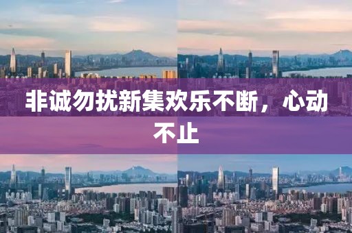 非诚勿扰新集欢乐不断，心动不止
