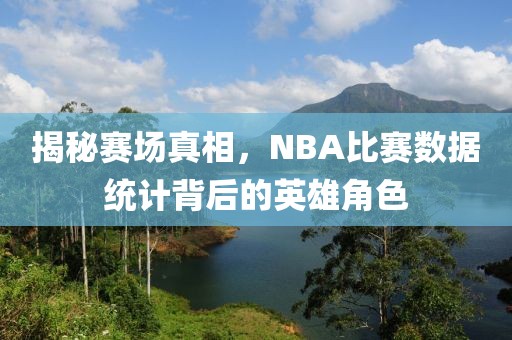 揭秘赛场真相，NBA比赛数据统计背后的英雄角色