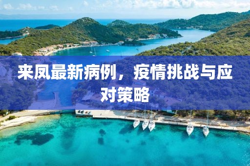 来凤最新病例，疫情挑战与应对策略