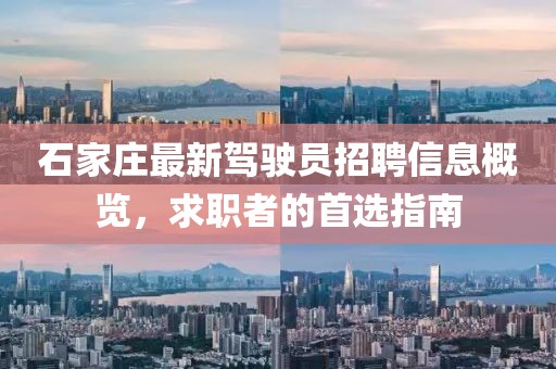 石家庄最新驾驶员招聘信息概览，求职者的首选指南