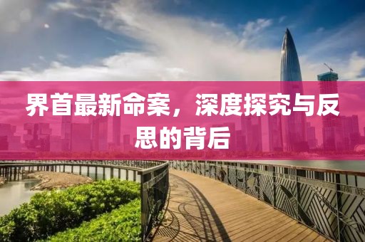 界首最新命案，深度探究与反思的背后