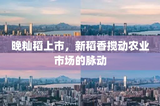 晚籼稻上市，新稻香搅动农业市场的脉动