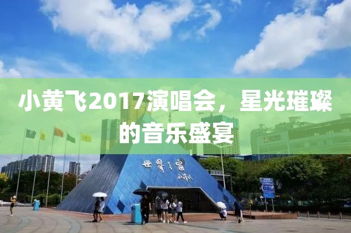 小黄飞2017演唱会，星光璀璨的音乐盛宴