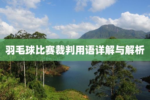 羽毛球比赛裁判用语详解与解析