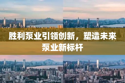 胜利泵业引领创新，塑造未来泵业新标杆