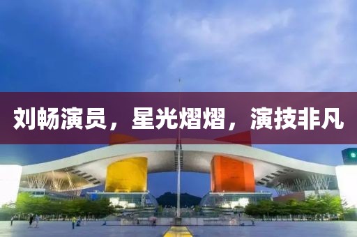 刘畅演员，星光熠熠，演技非凡