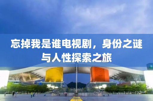 忘掉我是谁电视剧，身份之谜与人性探索之旅