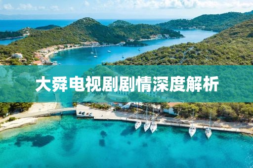 大舜电视剧剧情深度解析
