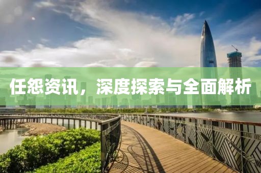 任怨资讯，深度探索与全面解析