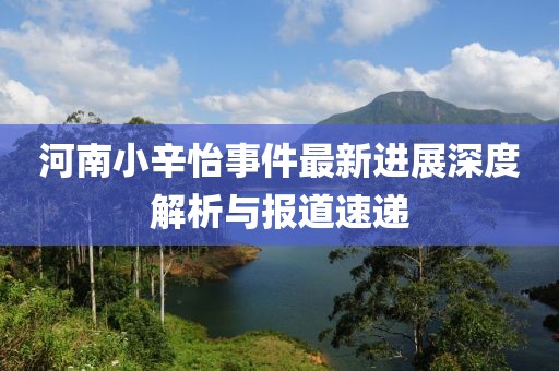 河南小辛怡事件最新进展深度解析与报道速递