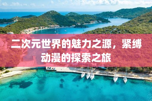 二次元世界的魅力之源，紧缚动漫的探索之旅
