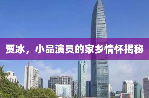 贾冰，小品演员的家乡情怀揭秘